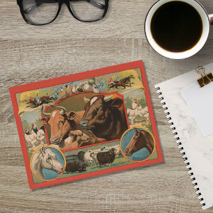 Farm Animals Ephemeral Ad  Postcard