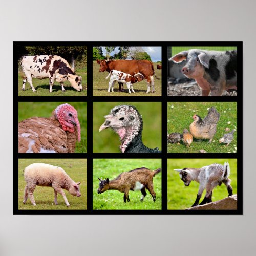 Farm animals mosaic poster