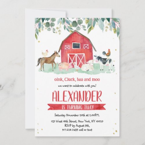 Farm Animals Oink Baa Moo Boy 1st Birthday 