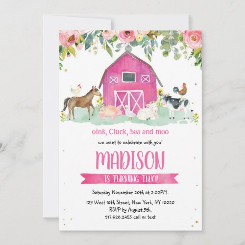 Farm Animals Oink Baa Moo Pink Girl 1st Birthday 