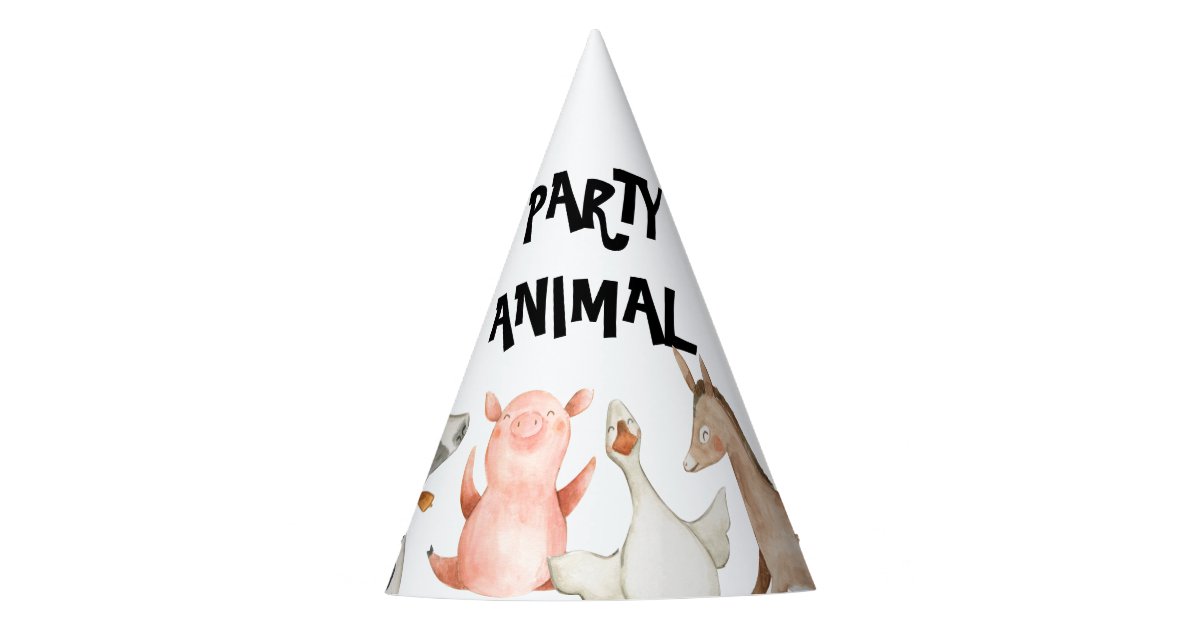 animals wearing party hats