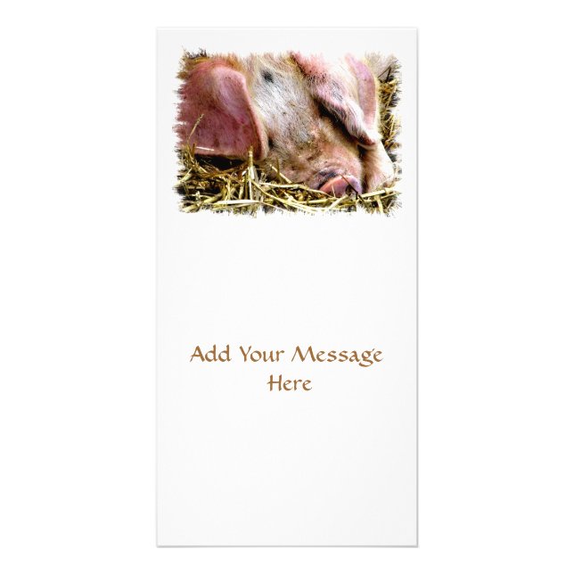 FARM ANIMALS, PIGS CARD (Front)