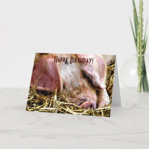 FARM ANIMALS PIGS CARD