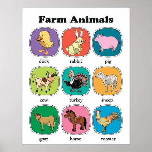 Farm Animals Poster | Zazzle