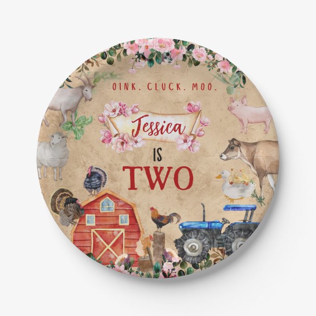 Farm Barnyard Animals Birthday Paper Plates (Front)