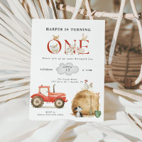 Farm Barnyard Fun First Birthday 