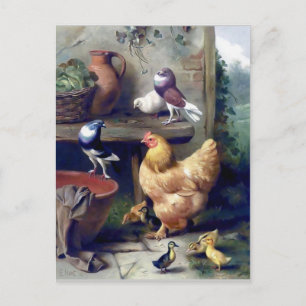 Farm birds hen ducklings pigeons painting postcard