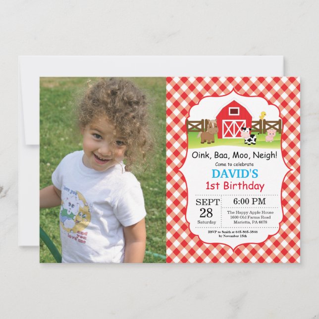 Farm Birthday Invitation Barnyard Party (Front)