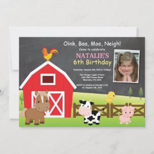 Farm Birthday Invitation Country Barnyard Party