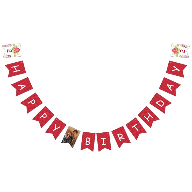 Farm Birthday Plaid Personalized Photo Bunting Flags (All)