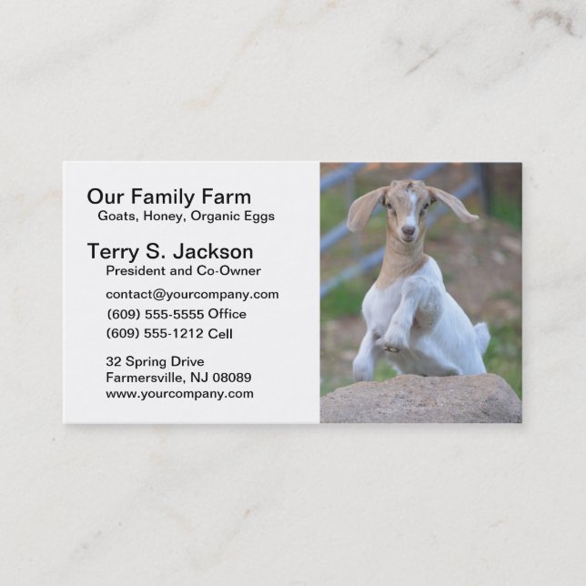 Farm Business Card with Kid Bohr Goat (Front)