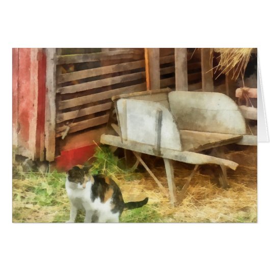 Farm Cat Cards (Front Horizontal)