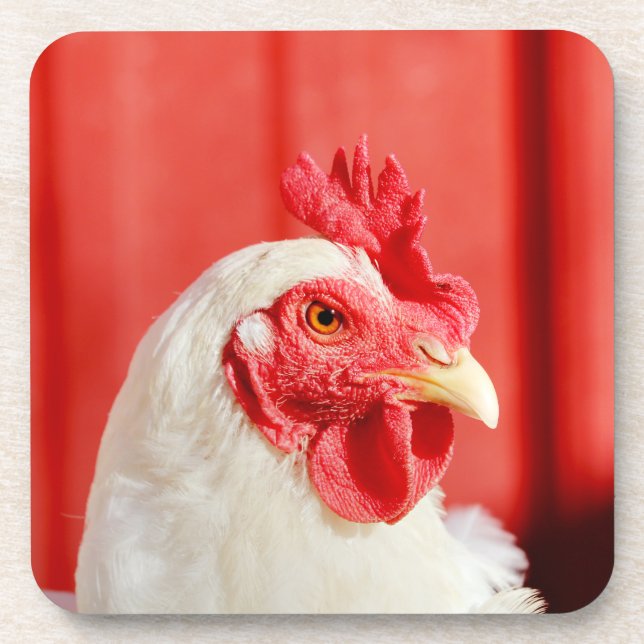 Farm Chicken  Beverage Coaster (Front)