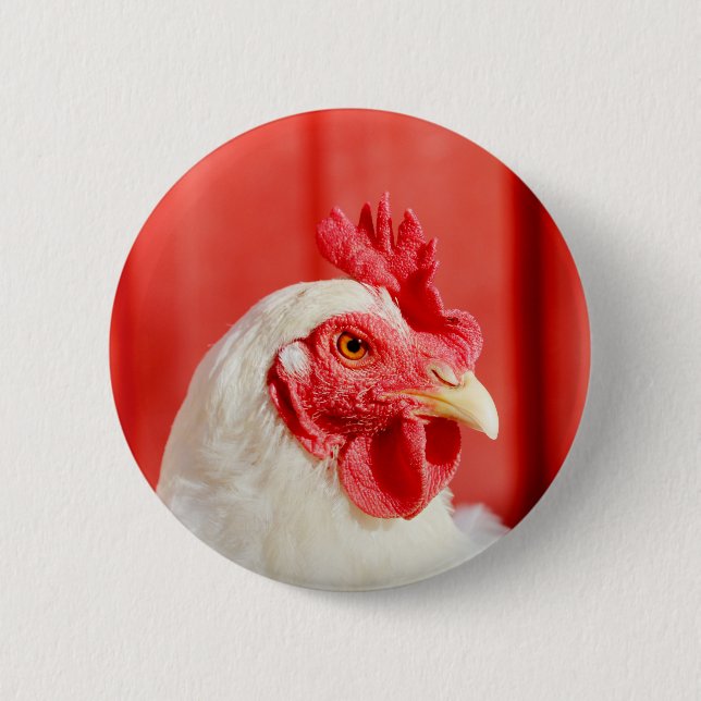 Farm Chicken  Button (Front)