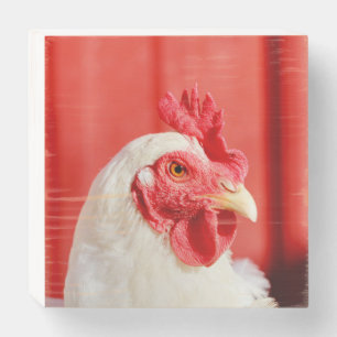 Farm Chicken Wooden Box Sign