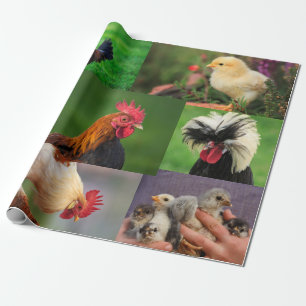 Farm Chickens Photo Collage Wrapping Paper