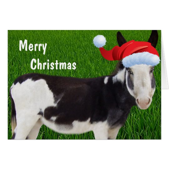 Farm Donkey Merry Christmas Card Zazzle
