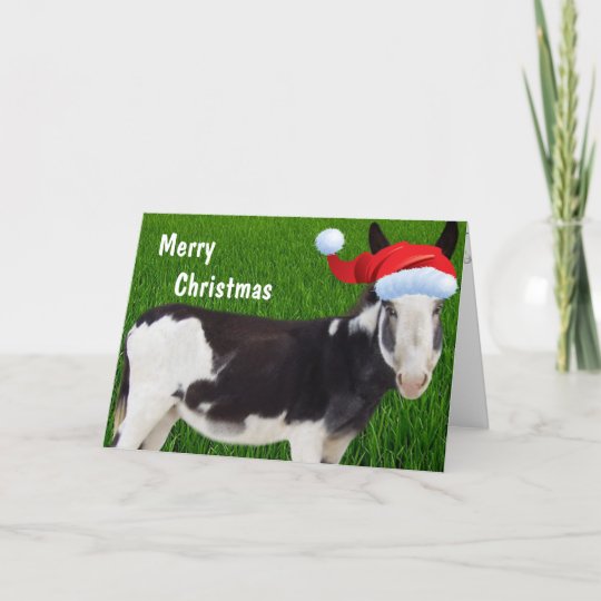 merry thought donkey