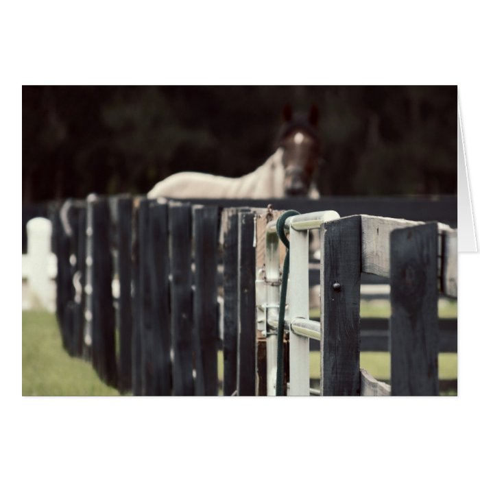 farm fence with horse behind sepia cards