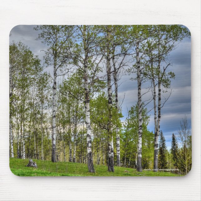Farm Field, Meadow, Pasture, Paddock Mouse Pad (Front)