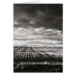 farm field rows cards