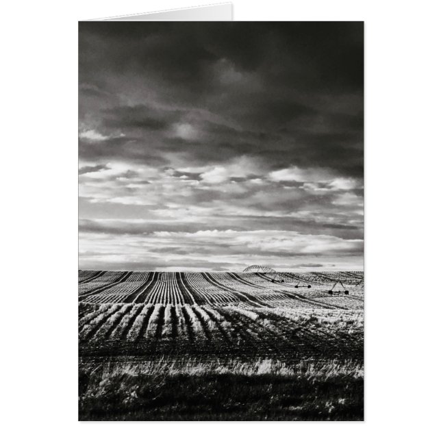 farm field rows cards (Front)