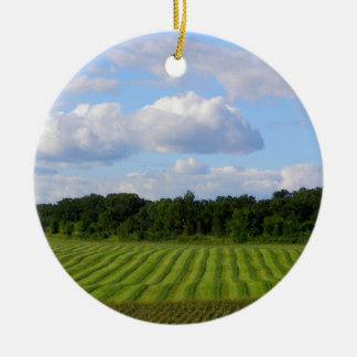 Farm field striped land farmer harvesting photo ceramic ornament