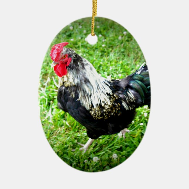 Farm Fowl Ceramic Ornament (Front)