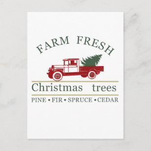 Farm Fresh Classic Vintage Red Truck Pine Trees Holiday Postcard