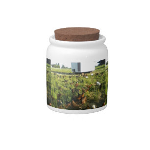 Farm Fresh Egg Candy or Egg Money Jar