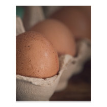 Farm Fresh Eggs Flyer