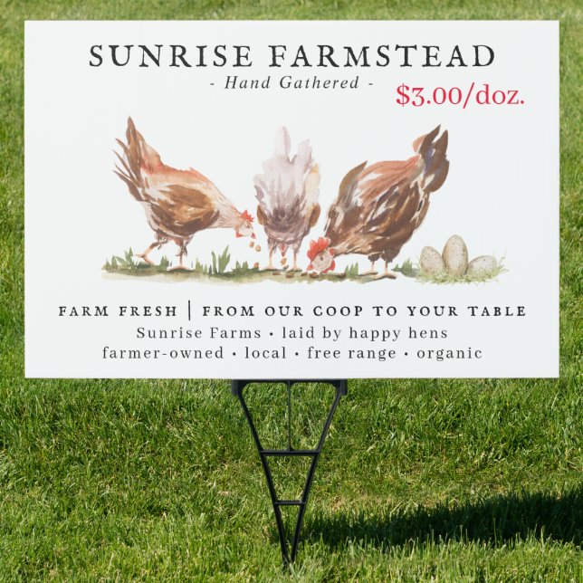 Farm Fresh Eggs For Sale Business Sign (Insitu)