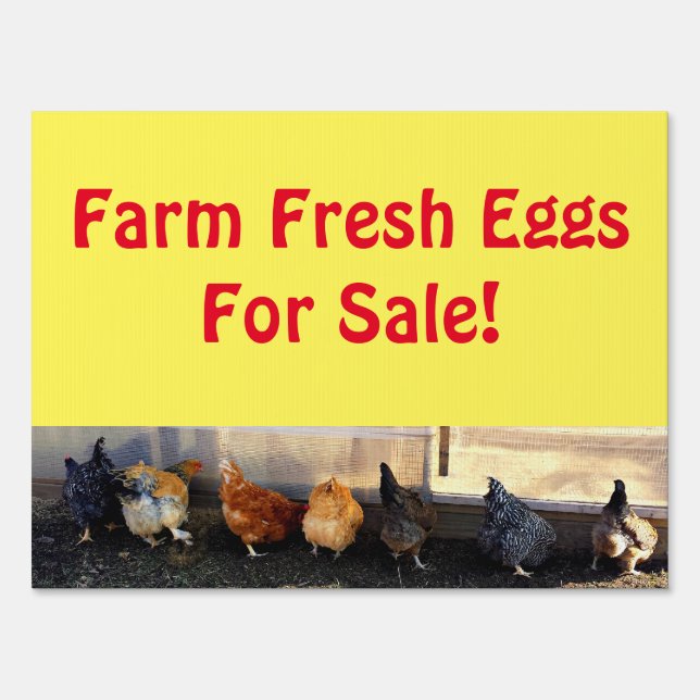 Farm Fresh Eggs For Sale! Yard Sign (Front)
