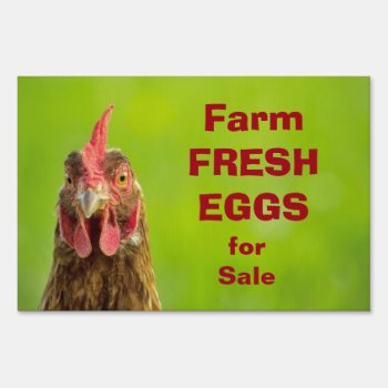 Farm Fresh Eggs For Sale Yard Sign by stdjura at Zazzle