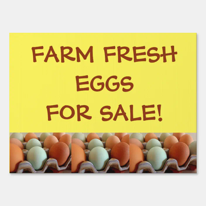 Farm Fresh Eggs For Sale Yard Sign w/ Metal H-Frame Stand & Sturdy Ground Stake 