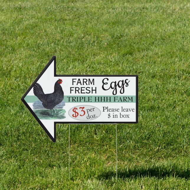 Farm Fresh Eggs Leave Money Sign (Insitu)