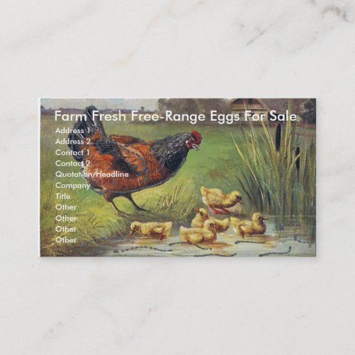 Customizable Farm Fresh Free-Range Eggs For Sale Business Card