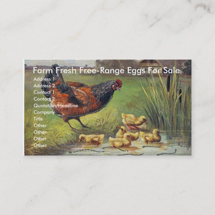 Farm Fresh Free-Range Eggs For Sale Business Card | Zazzle.com