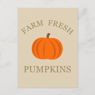 farm fresh pumpkin  postcard