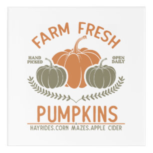 Farm Fresh Pumpkins Hand Picked Acrylic Print