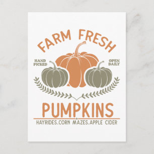 Farm Fresh Pumpkins   Hand Picked Postcard