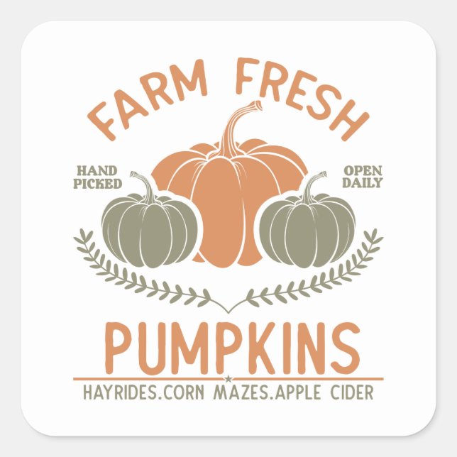 Farm Fresh Pumpkins | Hand Picked Square Sticker (Front)