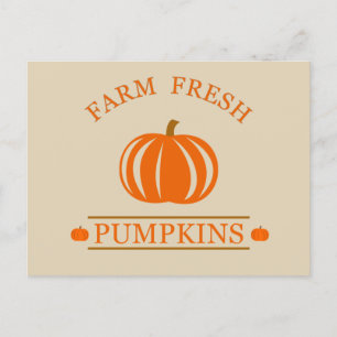 Farm fresh pumpkins holiday postcard