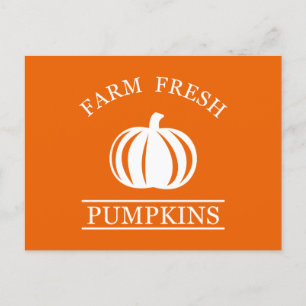 Farm fresh pumpkins holiday postcard
