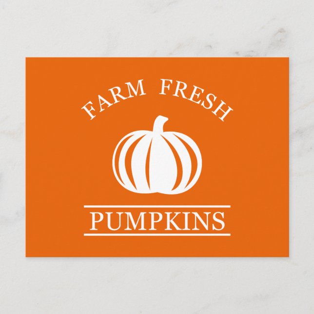 Farm fresh pumpkins holiday postcard (Front)