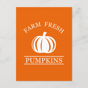 Farm fresh pumpkins postcard