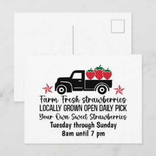 Farm fresh Strawberries fruit customizable  Postcard