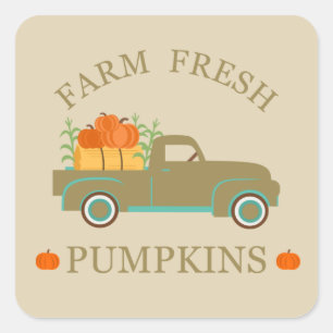 farm fresh watercolor pumpkins fall autumn square sticker