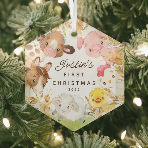 Farm Friends Babys First Christmas Glass Ornament