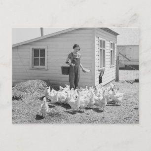 Farm Girl Feeding Chickens, 1936 Postcard